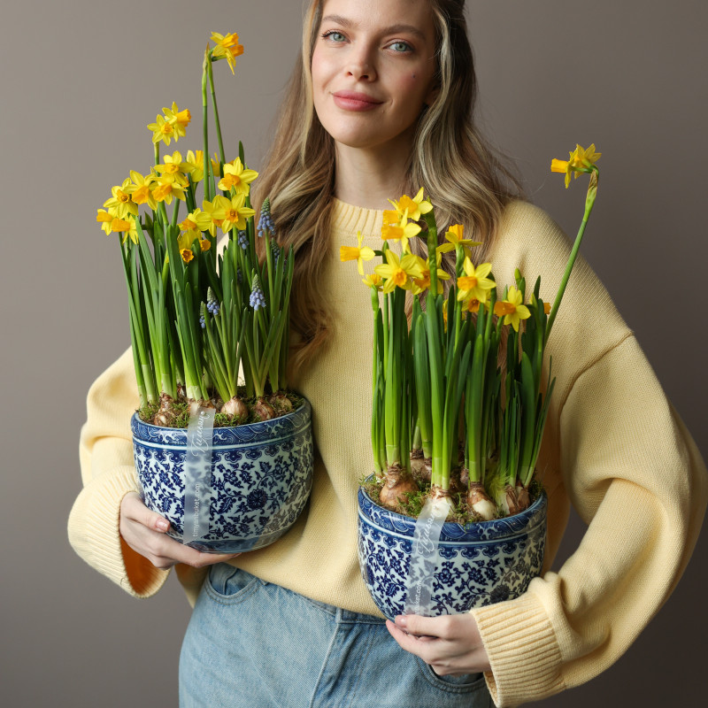 Весенний садик с нарциссами и мускари в китайском вазоне 19х40см