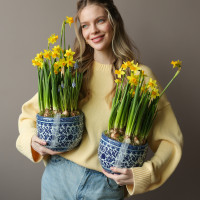 Весенний садик с нарциссами и мускари в китайском вазоне 19х40см