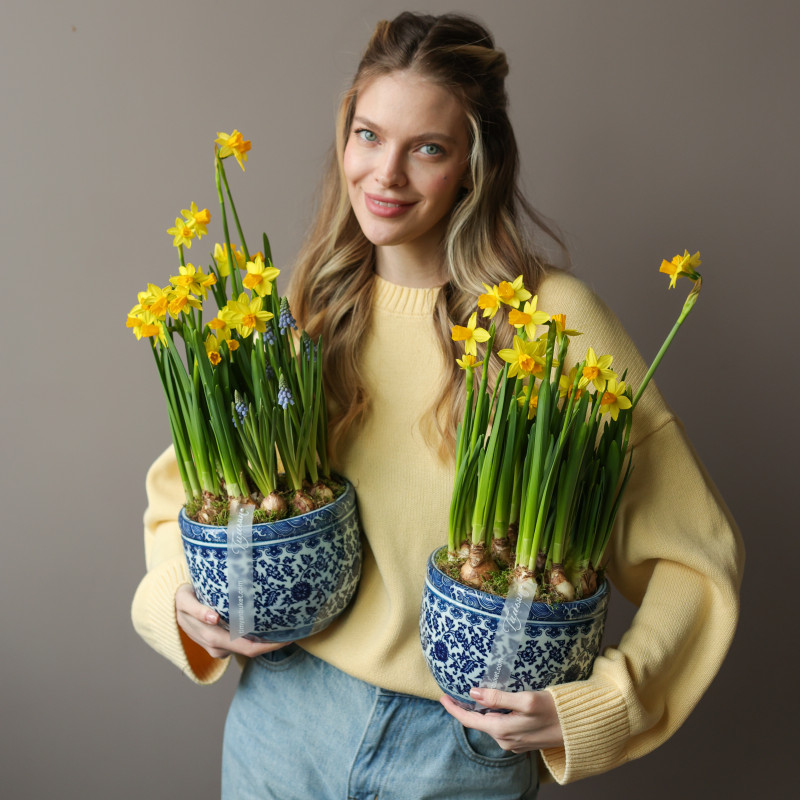 Весенний садик с нарциссами и мускари в китайском вазоне 19х40см
