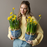 Весенний садик с нарциссами и мускари в китайском вазоне 19х40см