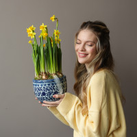 Весенний садик с нарциссами и мускари в китайском вазоне 19х40см
