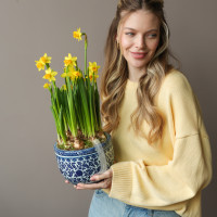 Весенний садик с нарциссами и мускари в китайском вазоне 19х40см