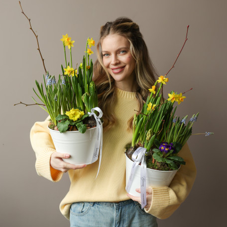 Весенний садик в жестяном кашпо с нарциссами, мускари и примулой