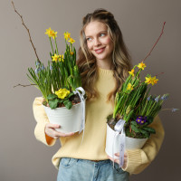 Весенний садик в жестяном кашпо с нарциссами, мускари и примулой