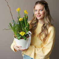 Весенний садик в жестяном кашпо с нарциссами, мускари и примулой