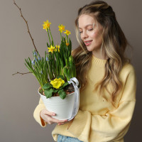 Весенний садик в жестяном кашпо с нарциссами, мускари и примулой