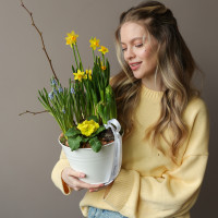 Весенний садик в жестяном кашпо с нарциссами, мускари и примулой