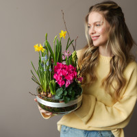 Весенний садик в стекле Лола с цикламенами, мускари, нарциссами и гиацинтами 24х30см