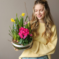 Весенний садик в стекле Лола с цикламенами, мускари, нарциссами и гиацинтами 24х30см