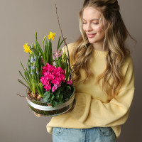 Весенний садик в стекле Лола с цикламенами, мускари, нарциссами и гиацинтами 24х30см