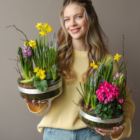 Весенний садик в стекле Лола с цикламенами, мускари, нарциссами и гиацинтами 24х30см