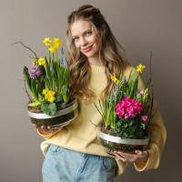 Весенний садик в стекле Лола с цикламенами, мускари, нарциссами и гиацинтами 24х30см