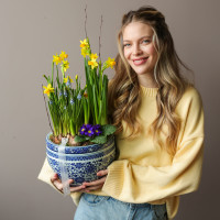 Весенний садик с нарциссами, мускари, примулой в китайском вазоне керамика 25х50см