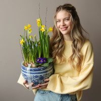 Весенний садик с нарциссами, мускари, примулой в китайском вазоне керамика 25х50см