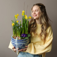 Весенний садик с нарциссами, мускари, примулой в китайском вазоне керамика 25х50см