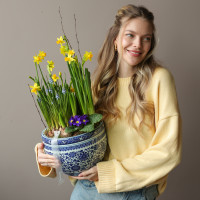 Весенний садик с нарциссами, мускари, примулой в китайском вазоне керамика 25х50см