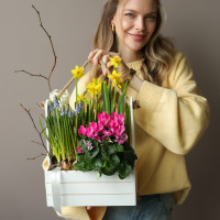 Весенний садик с мускари, нарциссами и цикламеном в среднем ящичке 26х35 см