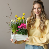 Весенний садик с мускари, нарциссами и цикламеном в среднем ящичке 26х35 см