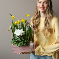 Весенний садик с мускари, нарциссами и цикламеном в среднем ящичке 26х35 см