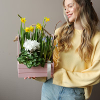 Весенний садик с мускари, нарциссами и цикламеном в среднем ящичке 26х35 см