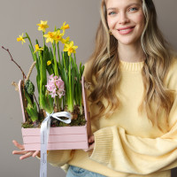 Весенний садик с нарциссами и ароматными гиацинтами в ящичке 21х35см
