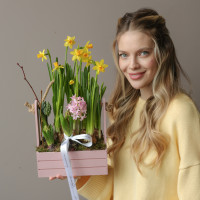 Весенний садик с нарциссами и ароматными гиацинтами в ящичке 21х35см