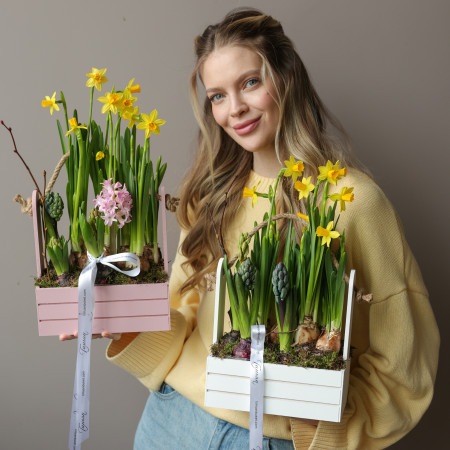 Весенний садик с нарциссами и ароматными гиацинтами в ящичке 21х35см