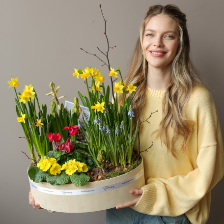 Премиальный весенний садик  в стильном кашпо с первоцветами 40х30см