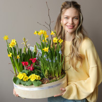 Премиальный весенний садик  в стильном кашпо с первоцветами 40х30см