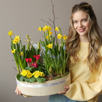 Премиальный весенний садик  в стильном кашпо с первоцветами 40х30см