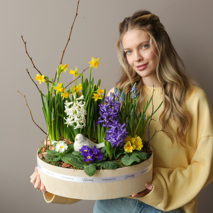 ПЕРВОЦВЕТЫ ЛУКОВИЧНЫЕ