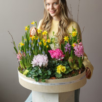 Премиальный большой садик в стильном кашпо с первоцветами 50х40 см