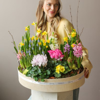 Премиальный большой садик в стильном кашпо с первоцветами 50х40 см