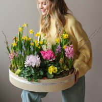 Премиальный большой садик в стильном кашпо с первоцветами 50х40 см