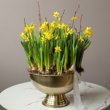 Премиум весенний сад с моно-нарциссами в шампаннице металл 40х60см