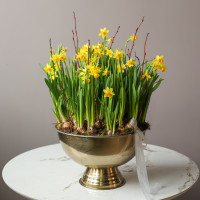Премиум весенний сад с моно-нарциссами в шампаннице металл 40х60см