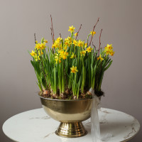 Премиум весенний сад с моно-нарциссами в шампаннице металл 40х60см