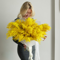 Шикарный пушистый монобукет мимозы 