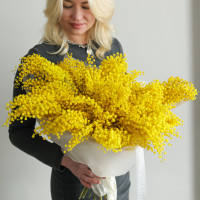 Шикарный пушистый монобукет мимозы 