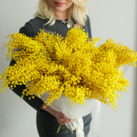 Шикарный пушистый монобукет мимозы 