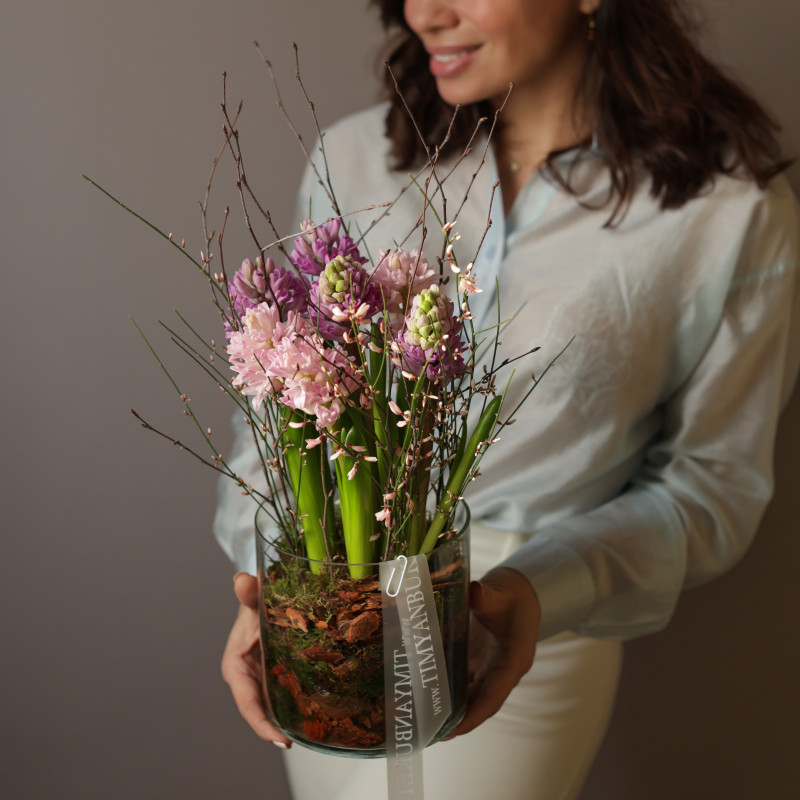 Ароматные гиацинты в стеклянном цилиндре