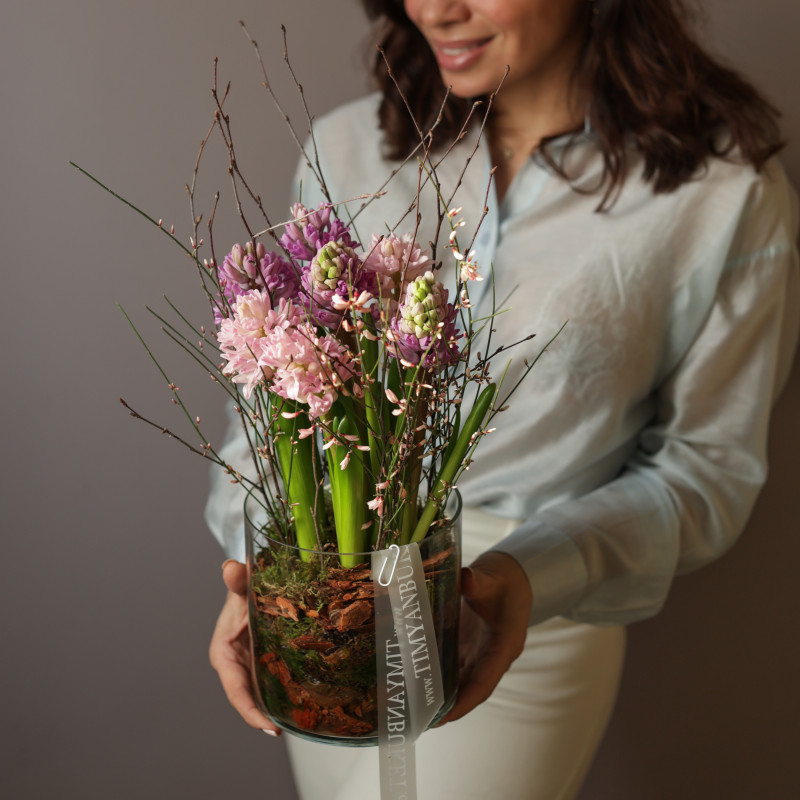 Ароматные гиацинты в стеклянном цилиндре