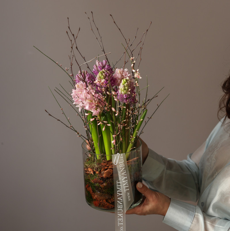 Ароматные гиацинты в стеклянном цилиндре