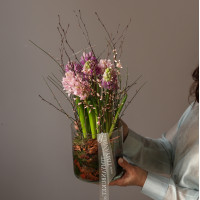 Ароматные гиацинты в стеклянном цилиндре