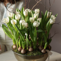 Белые тюльпаны и гиацинты в металлическом кашпо 