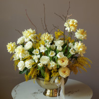 Объемная вау-композиция с тюльпанами и мимозой в кашпо