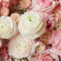 Корзина нежная с французскими розами и ранункулюсами