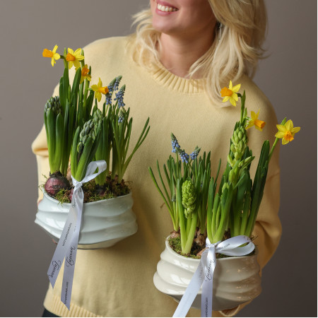 Весенний садик с нарциссами, мускари и гиацинтами и керамическом кашпо