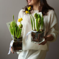 4 шт Мини-садик 10х10 с гиацинтами и мини нарциссами