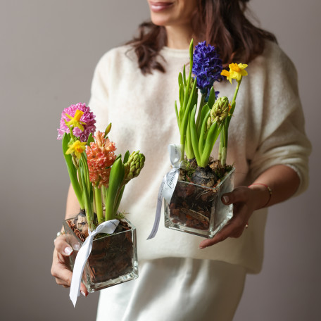 4 шт Мини-садик 10х10 с гиацинтами и мини нарциссами